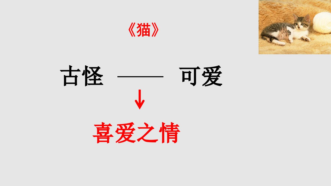 母鸡正式学习