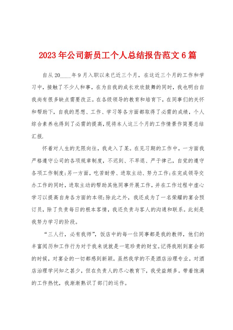 2023年公司新员工个人总结报告范文