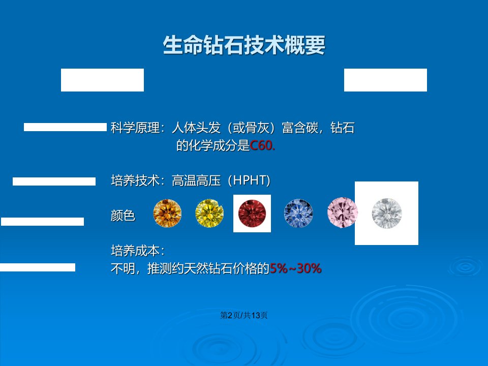 商务计划钻石项目介绍PPT模板