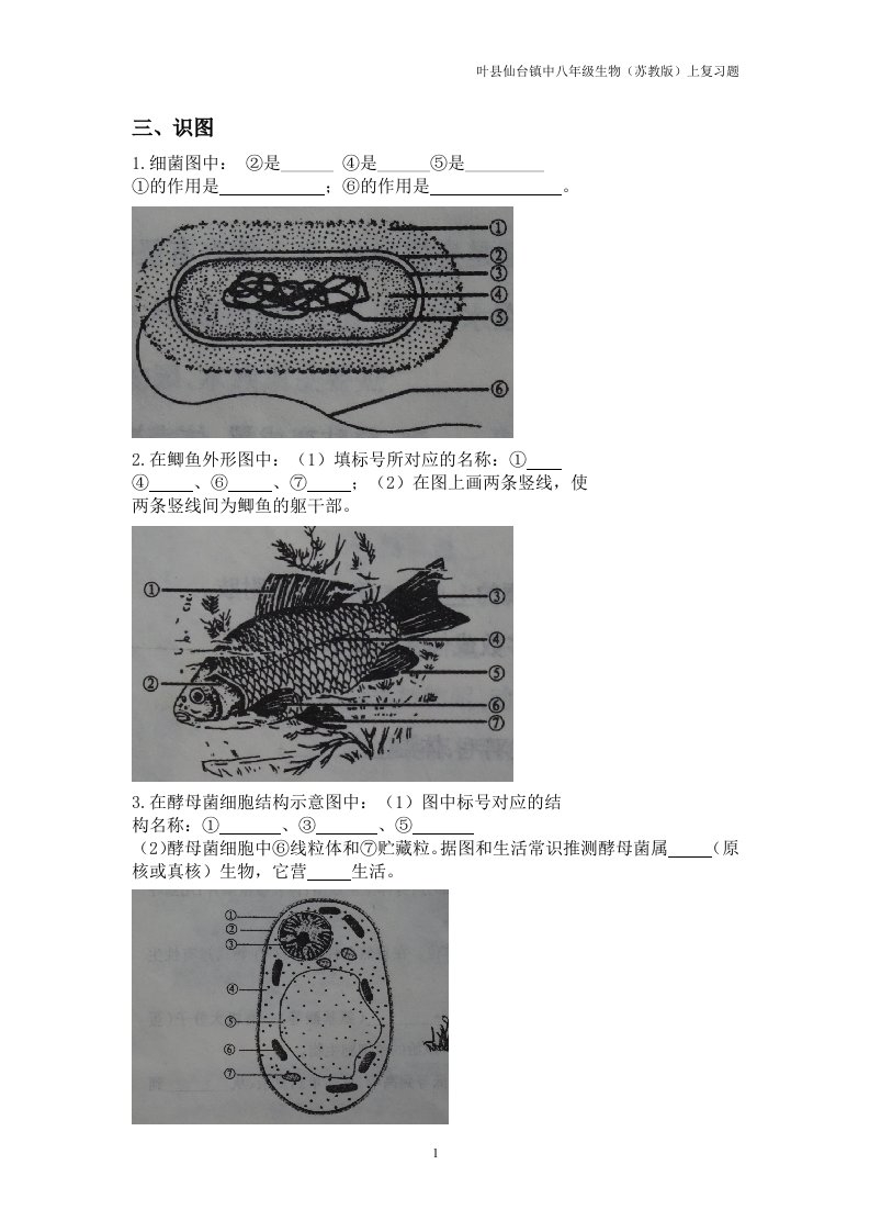 复件(3)试题摘录八年级上