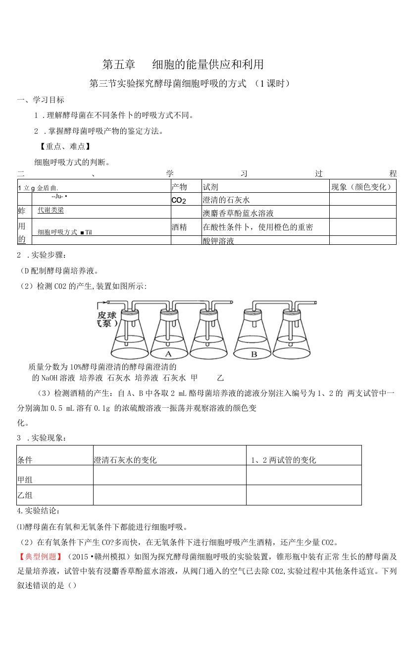 探究酵母菌细胞呼吸方式导学案