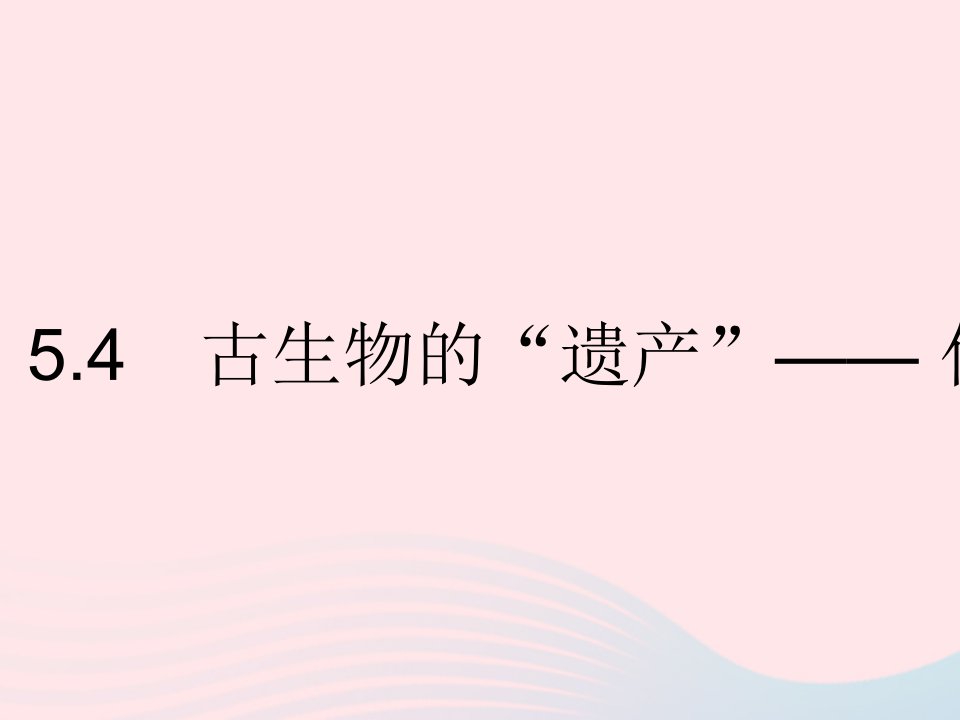 2023九年级化学上册第五章燃料5.4古生物的遗产__化石燃料作业课件新版粤教版