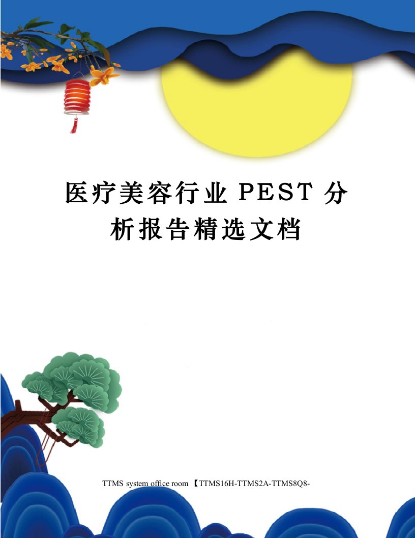 医疗美容行业PEST分析报告精选文档