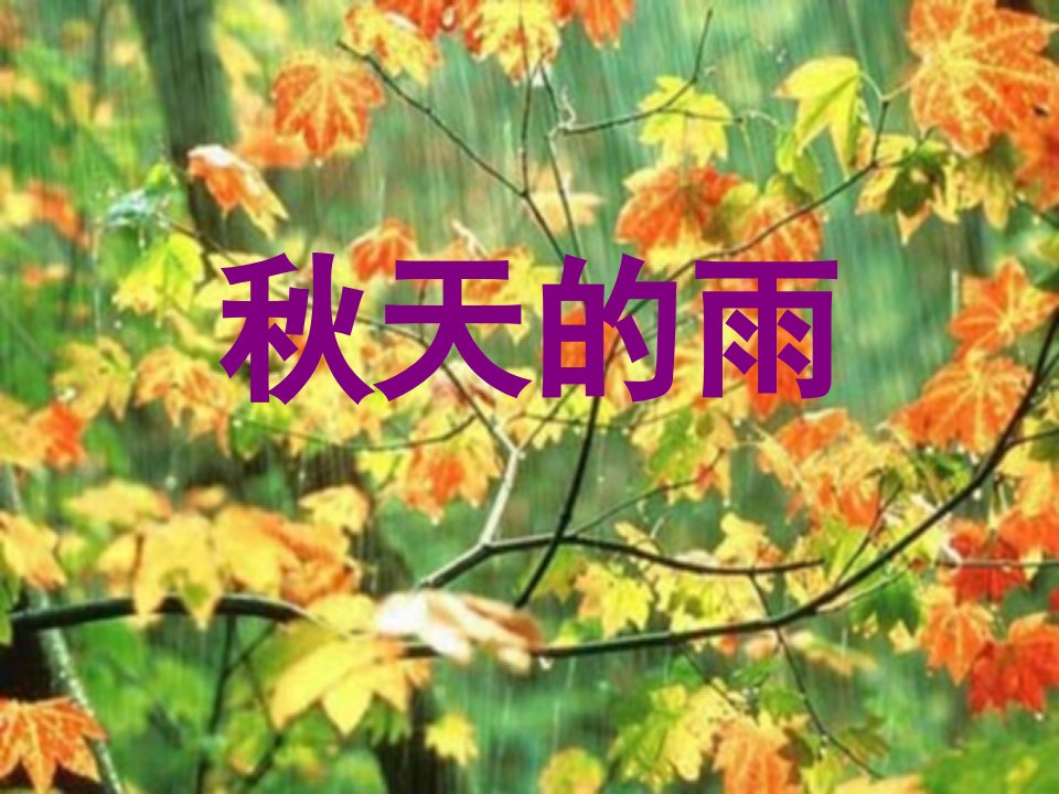 11课《秋天的雨》PPT课件