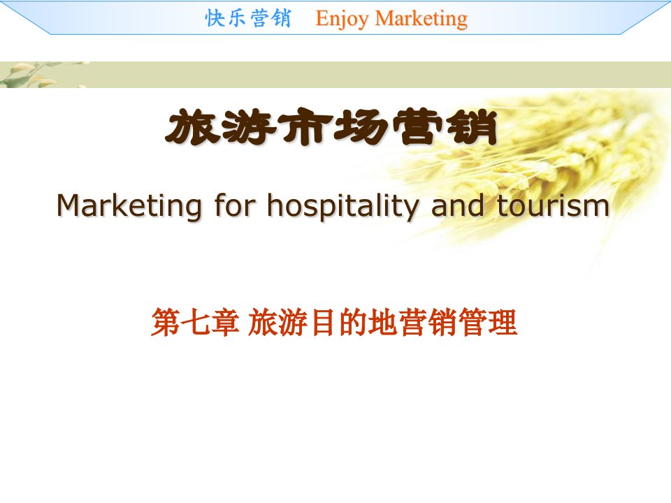 Marketing07旅游目的地营销管理