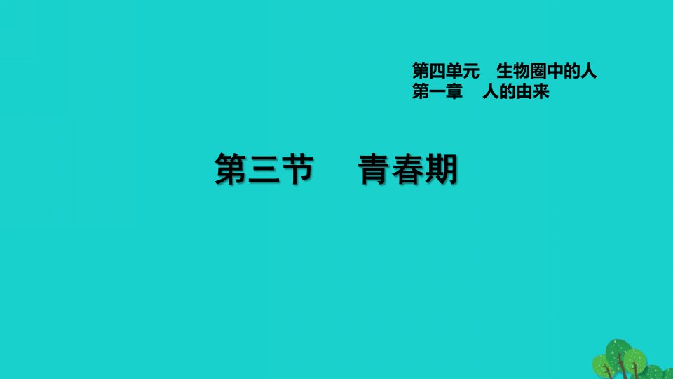 2022七年级生物下册第四单元生物圈中的人第一章人的由来第13节青春期习题课件新版新人教版