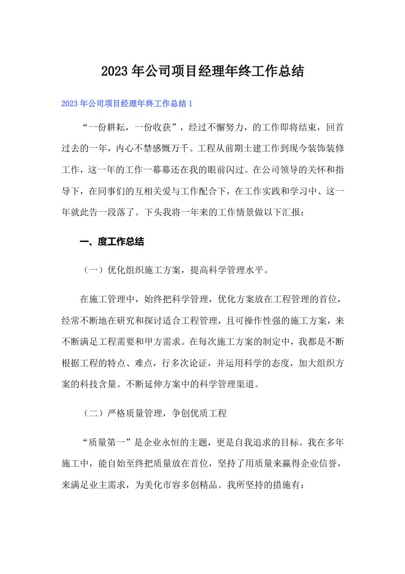 公司项目经理年终工作总结