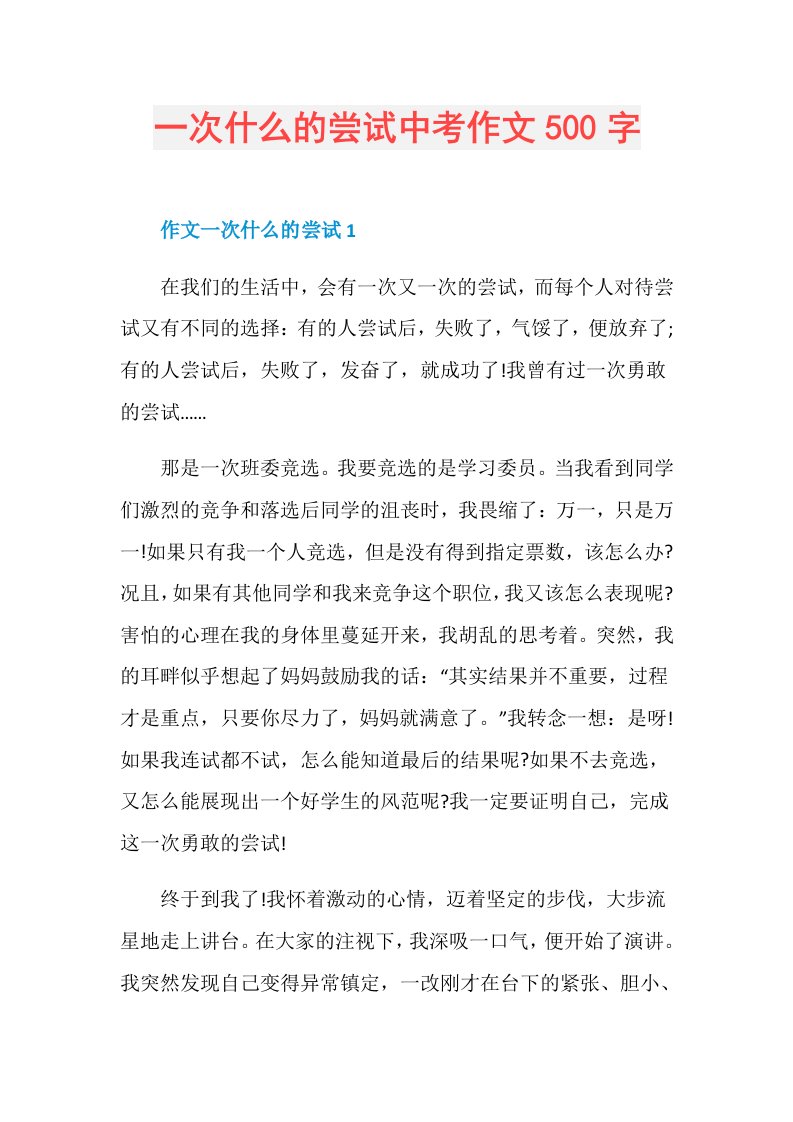 一次什么的尝试中考作文500字