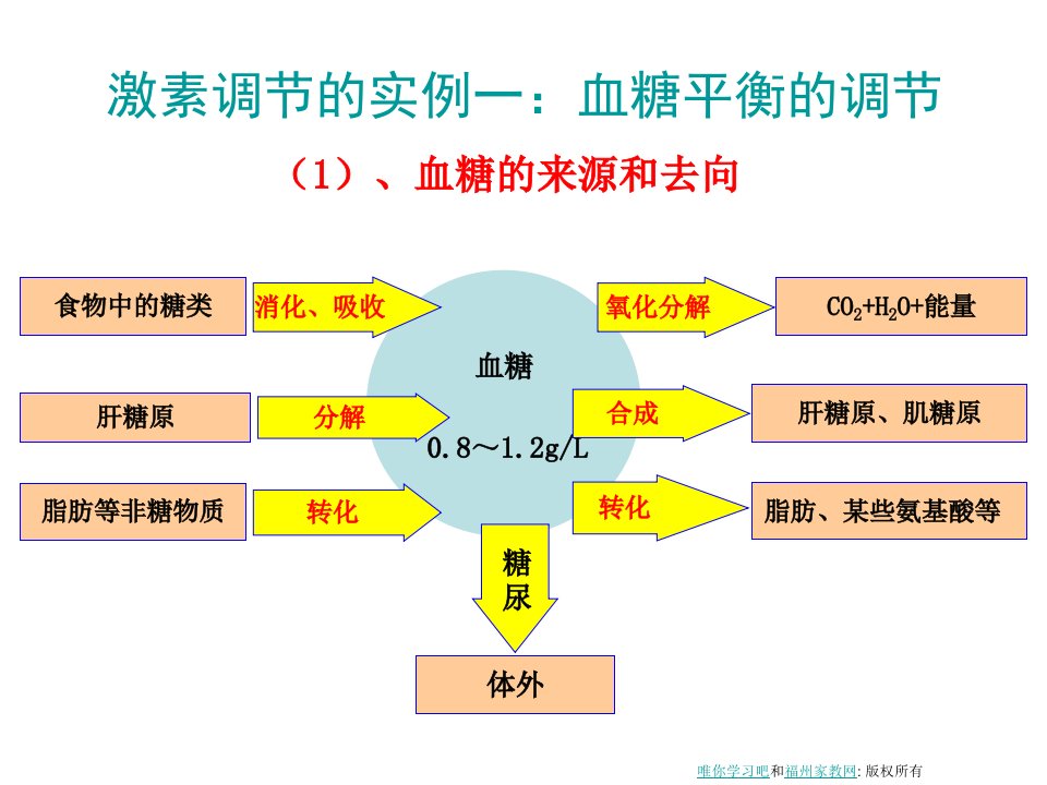 激素调节的实例