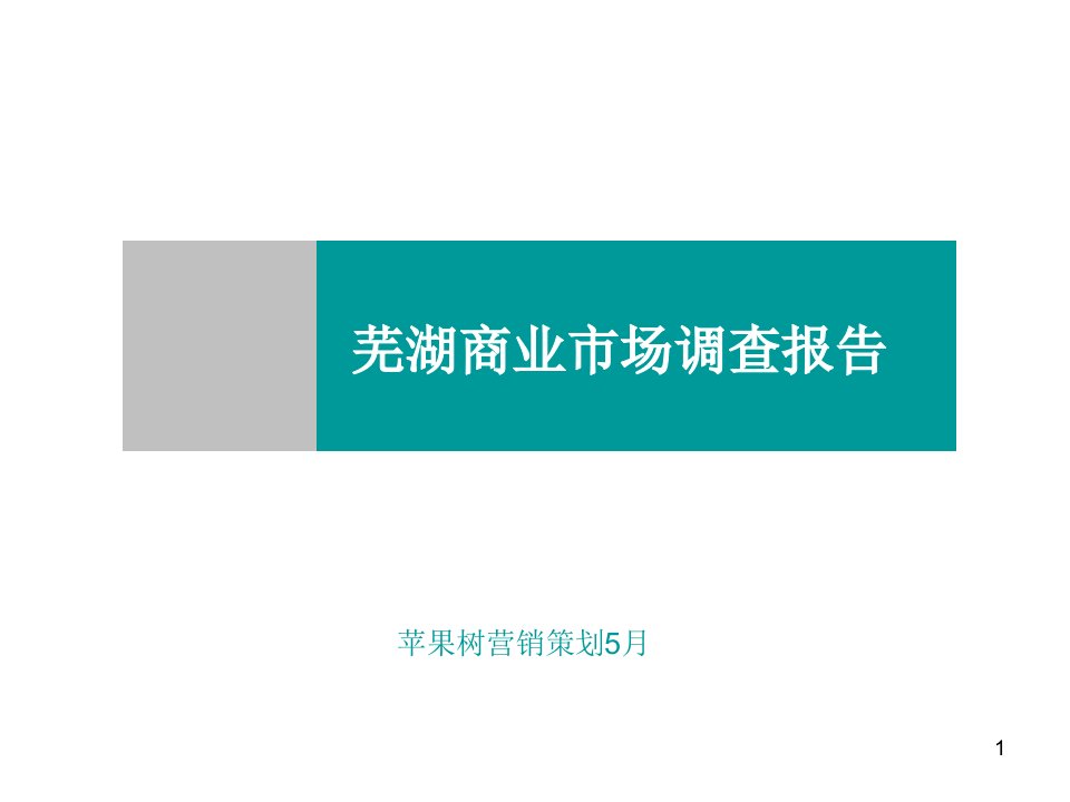 安徽芜湖商业市场调查报告课件