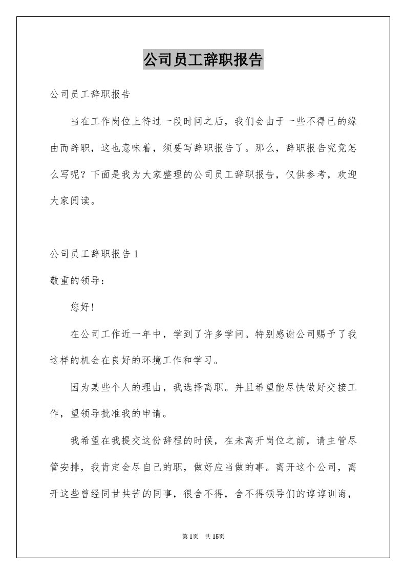 公司员工辞职报告优质1