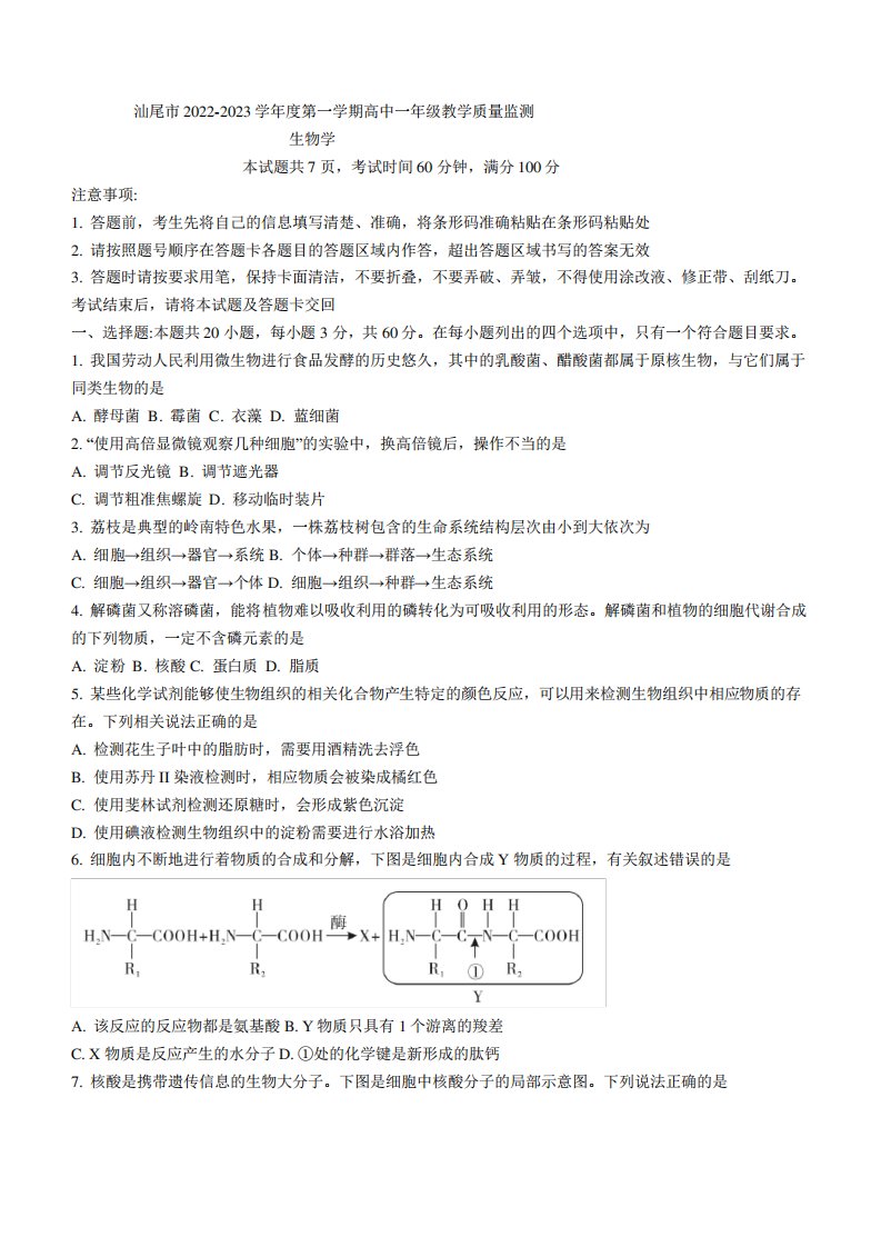 广东省汕尾市2022-2023学年高一上学期期末考试(2月)——生物试卷含答案