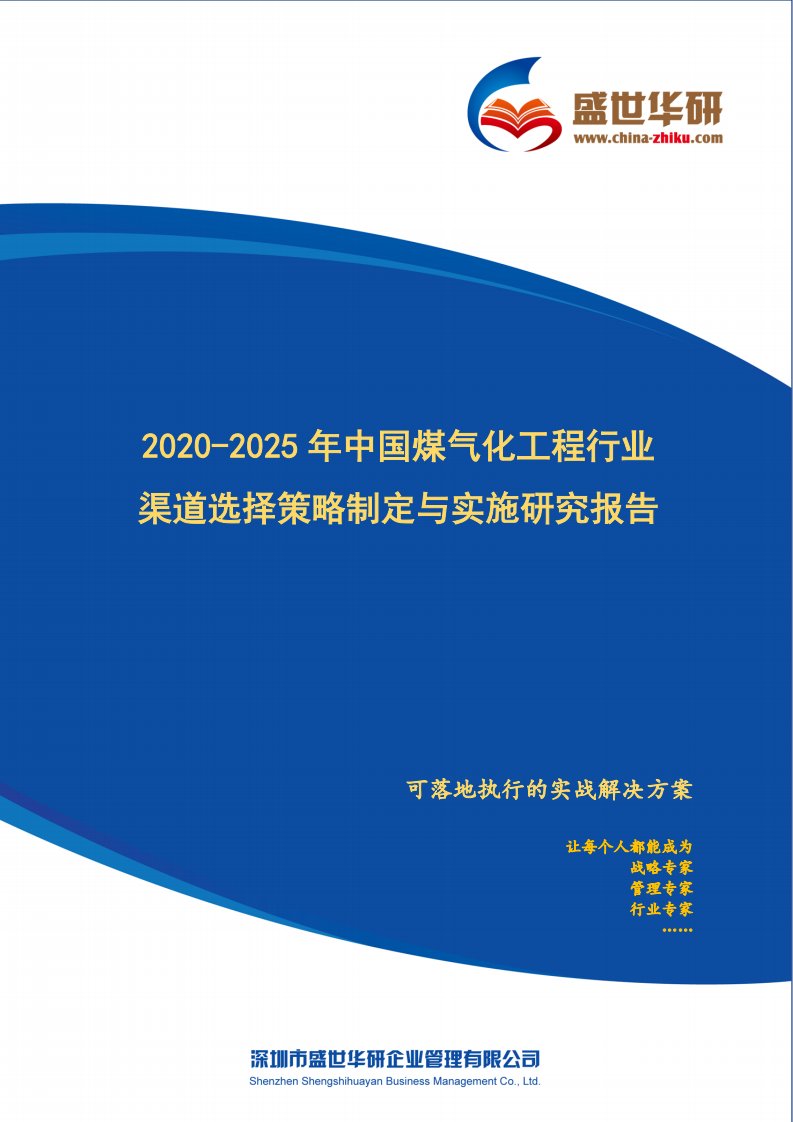 【完整版】2020-2025年中国煤气化工程行业渠道选择策略制定与实施研究报告