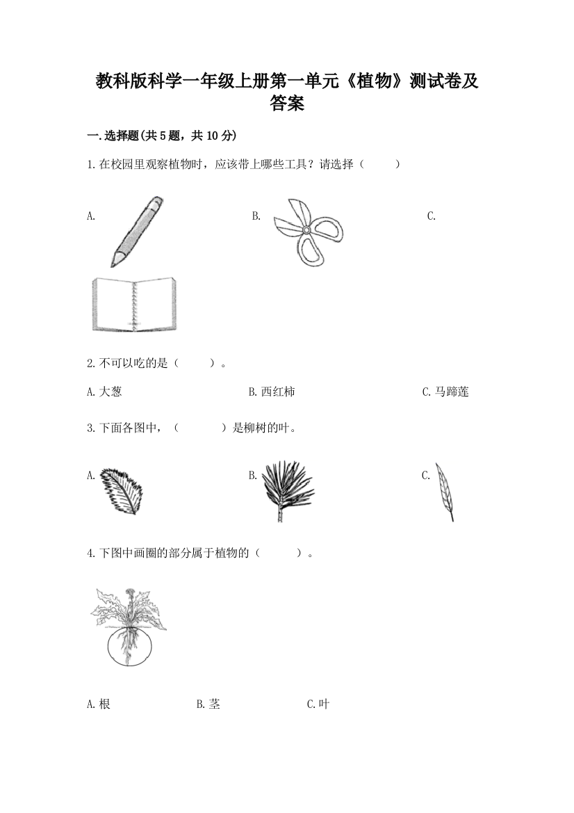 教科版科学一年级上册第一单元《植物》测试卷(易错题)word版