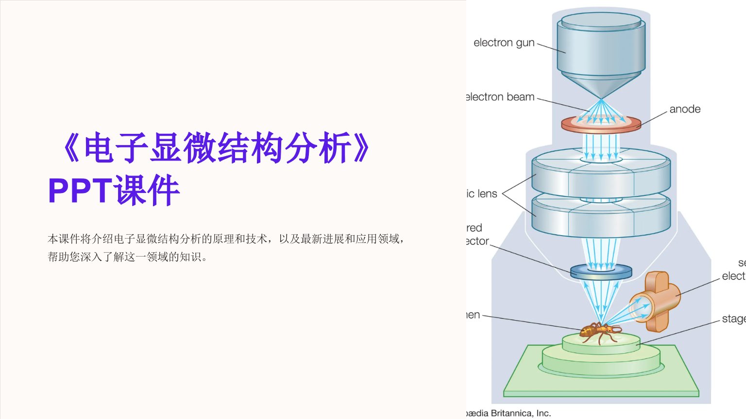 《电子显微结构分析》课件