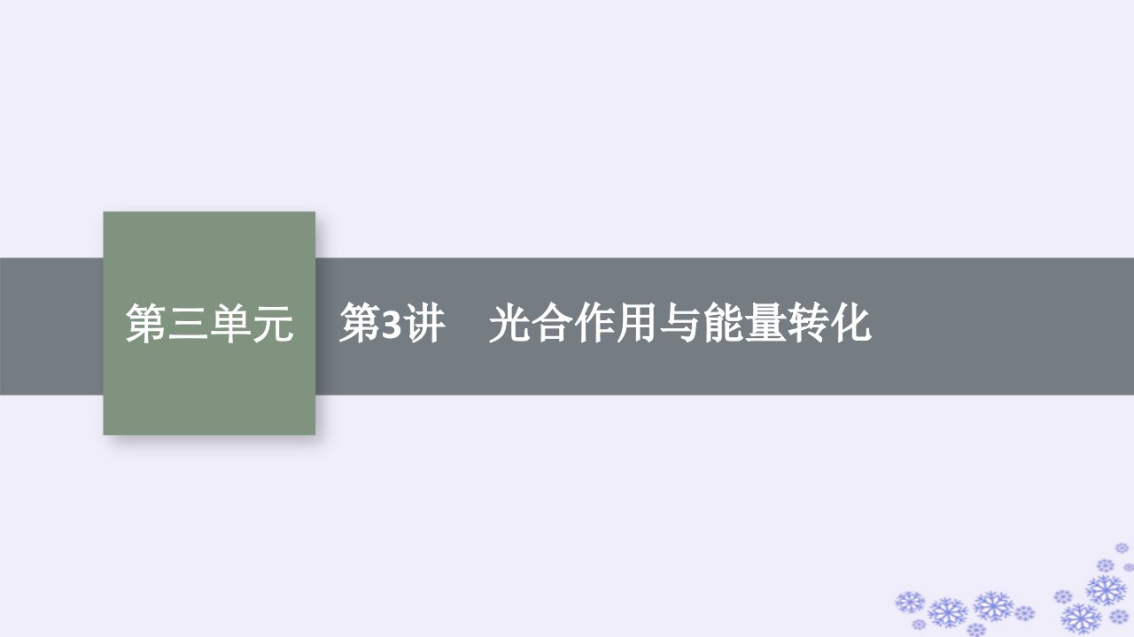 适用于新高考新教材2025届高考生物一轮总复习第3单元细胞的能量供应和利用第3讲光合作用与能量转化课件新人教版