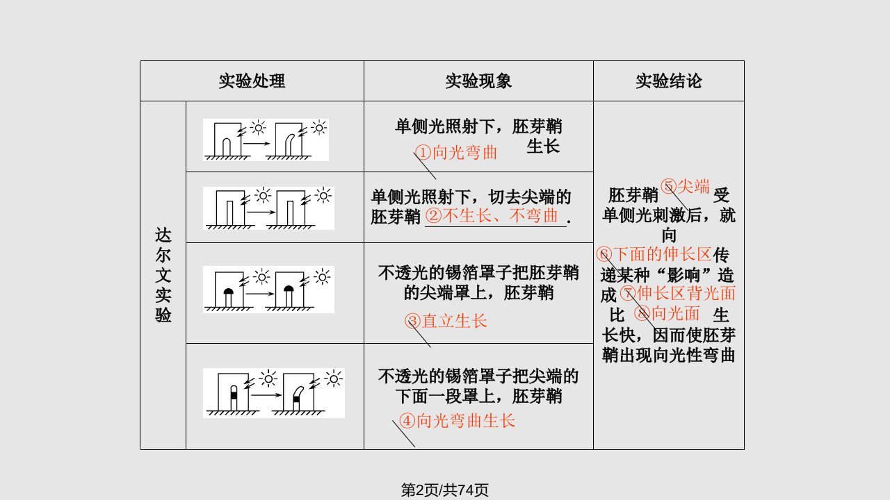 高三一轮复习315