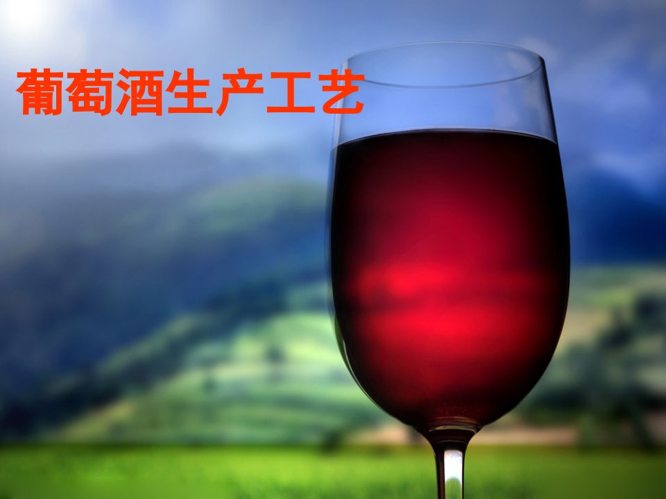 葡萄酒生产工艺介绍