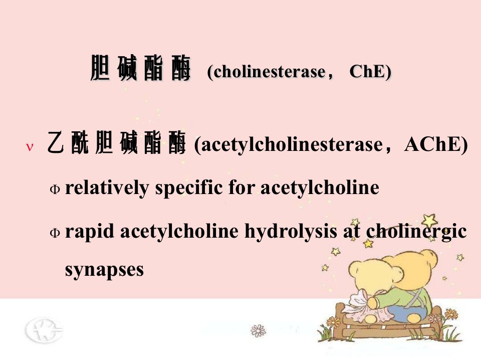 抗胆碱酯酶药