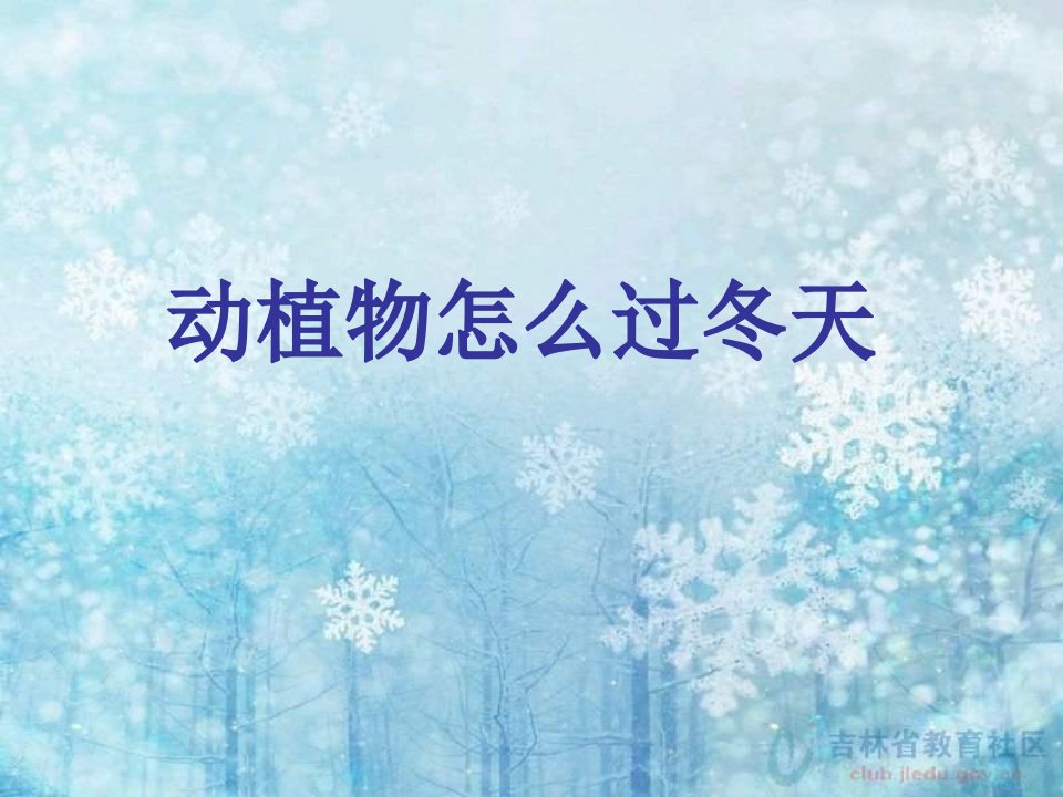 北师大版品德与生活一上《动植物怎么过冬天》