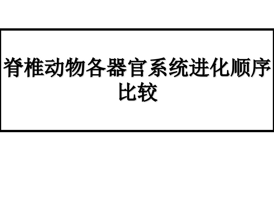 生物竞赛脊椎动物各器官系统进化顺序比较课件