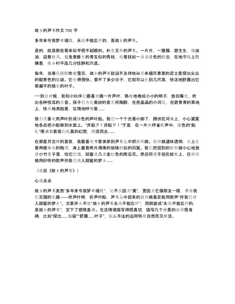 故乡的芦苇作文700字