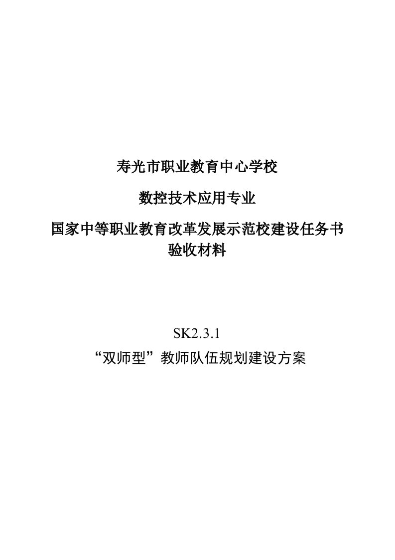 双师型教师队伍规划建设方案