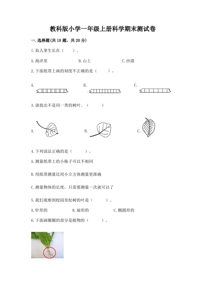 教科版小学一年级上册科学期末测试卷含答案【能力提升】