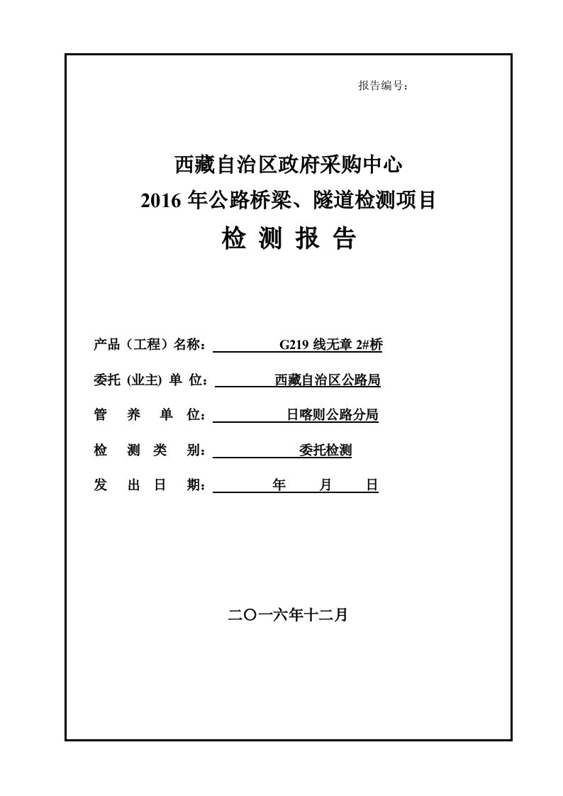 桥梁检测报告模板