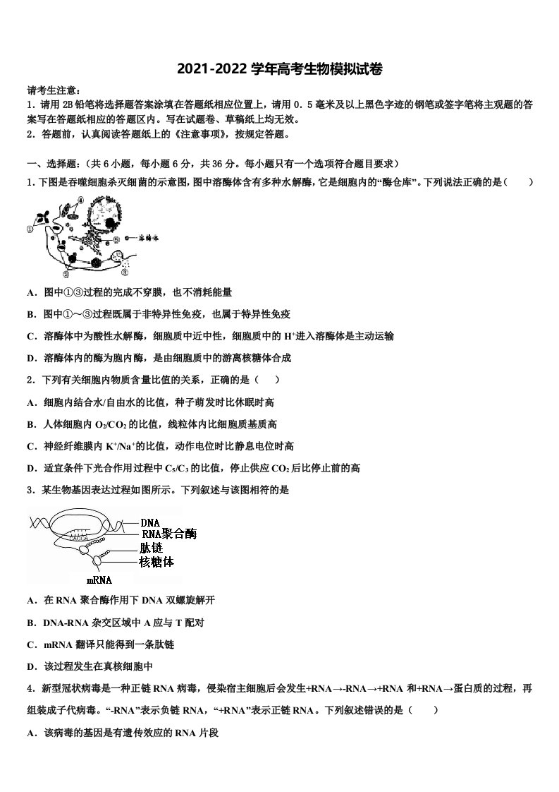 湖南省师大附中2021-2022学年高三二诊模拟考试生物试卷含解析