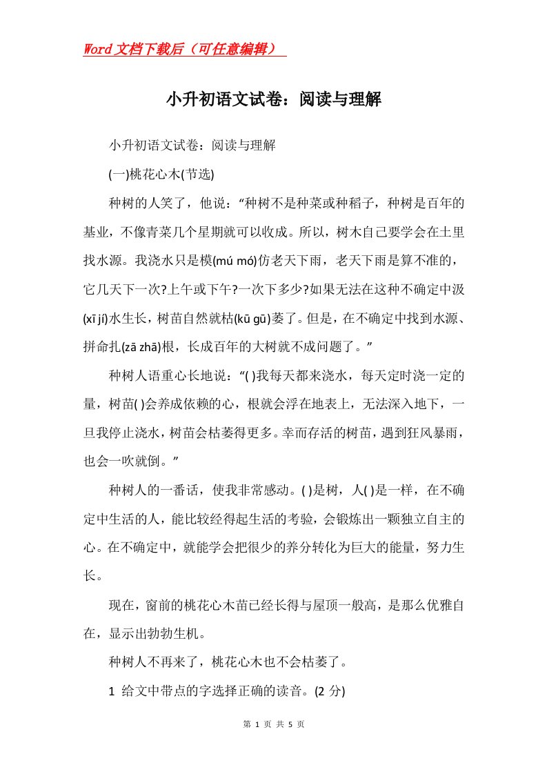 小升初语文试卷阅读与理解