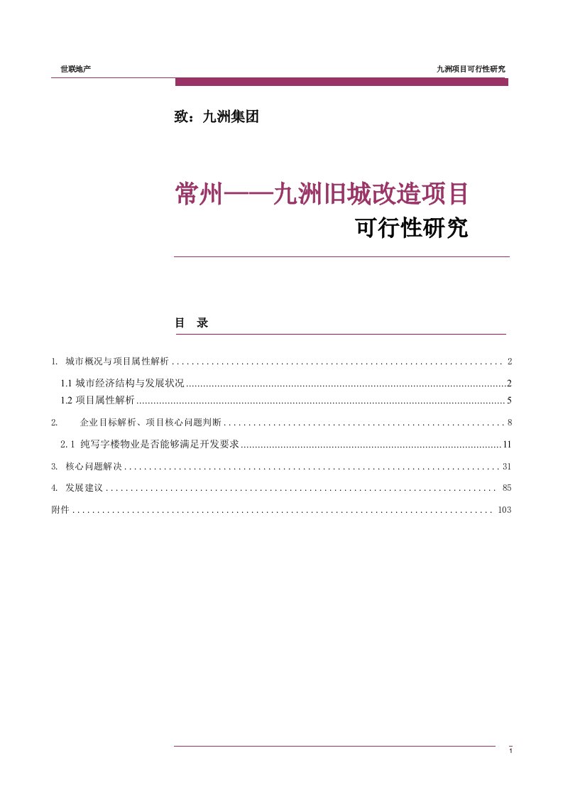 常州九洲旧城改造项目可行性方案