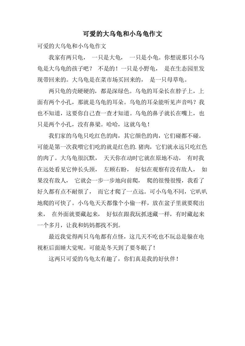 可爱的大乌龟和小乌龟作文