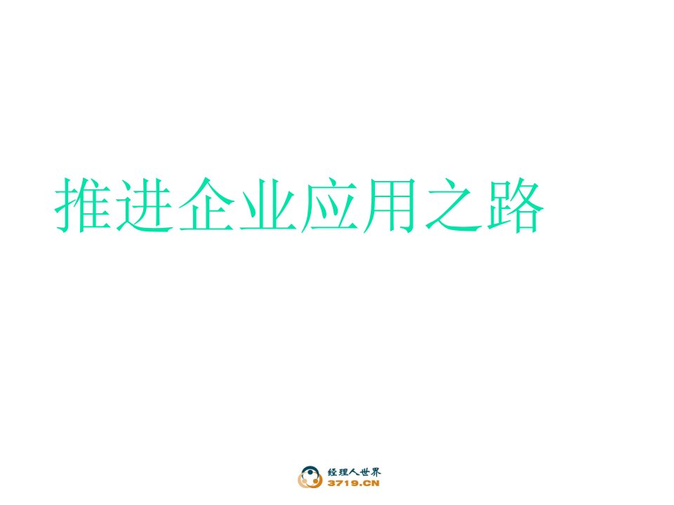 《如何推进企业MIS应用之路》(ppt30)-经营管理