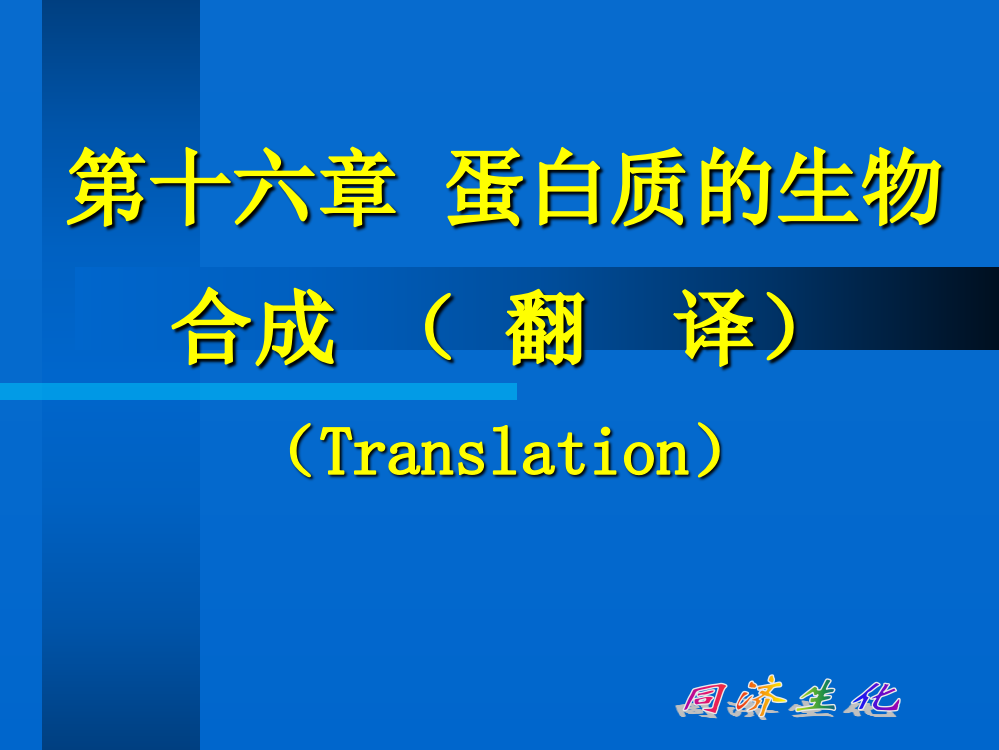 第十六章蛋白质的生物合成ppt课件