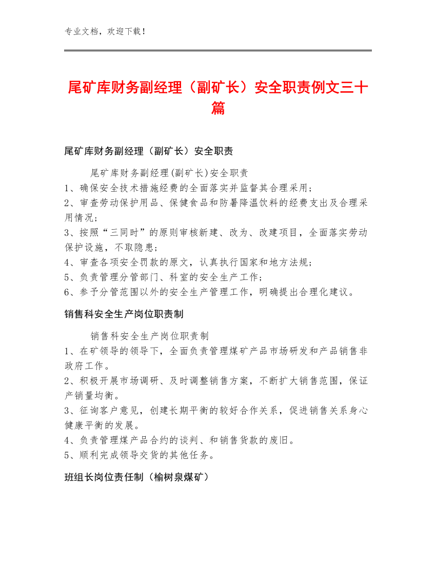 尾矿库财务副经理（副矿长）安全职责例文三十篇