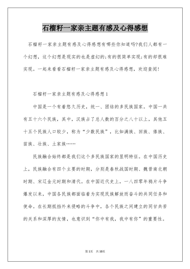 石榴籽一家亲主题有感及心得感想