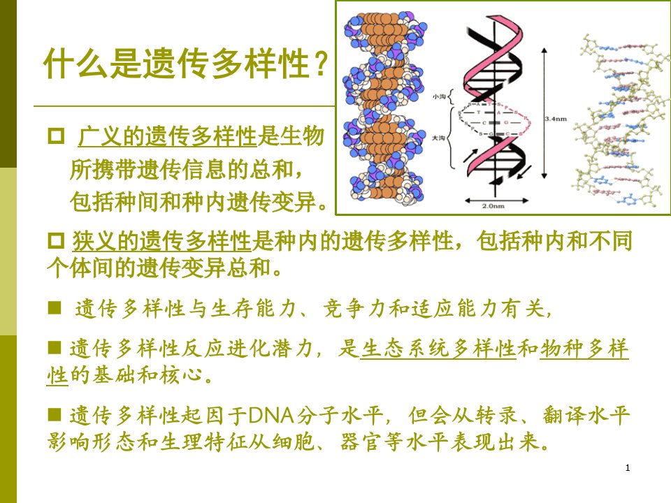 保护生物学05遗传多样性及保护ppt课件