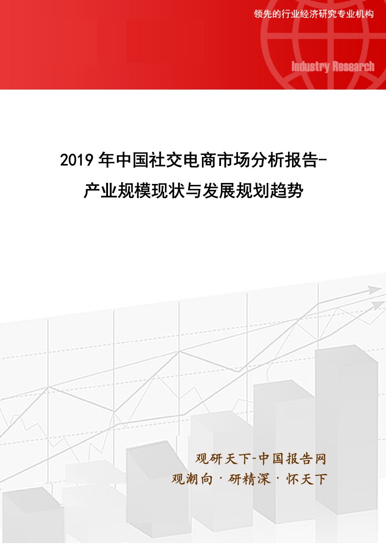 2019年中国社交电商市场分析报告-产业规模现状与发展规划趋势(目录)