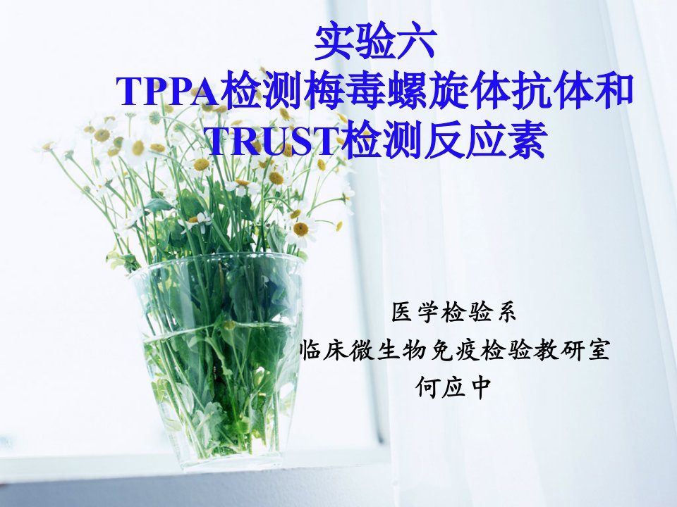 实验六tppa检测梅毒螺旋体抗体和trust检测反应素