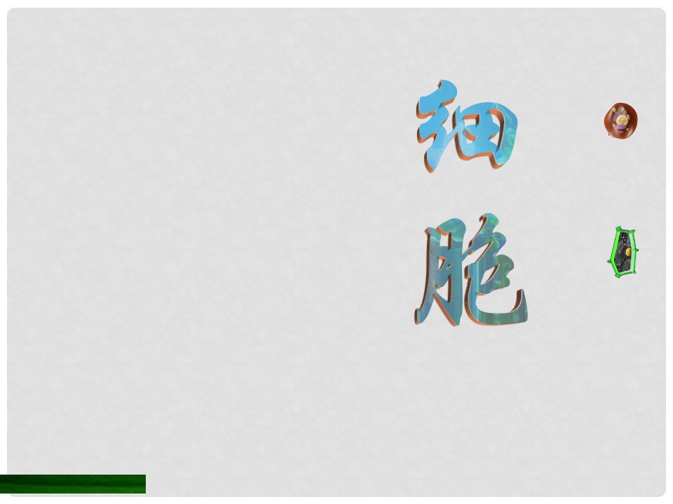 浙江省绍兴市诸暨市店口镇七年级科学上册