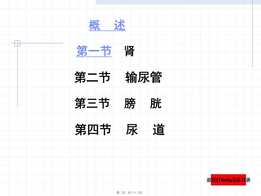 医学专题第四章泌尿系统