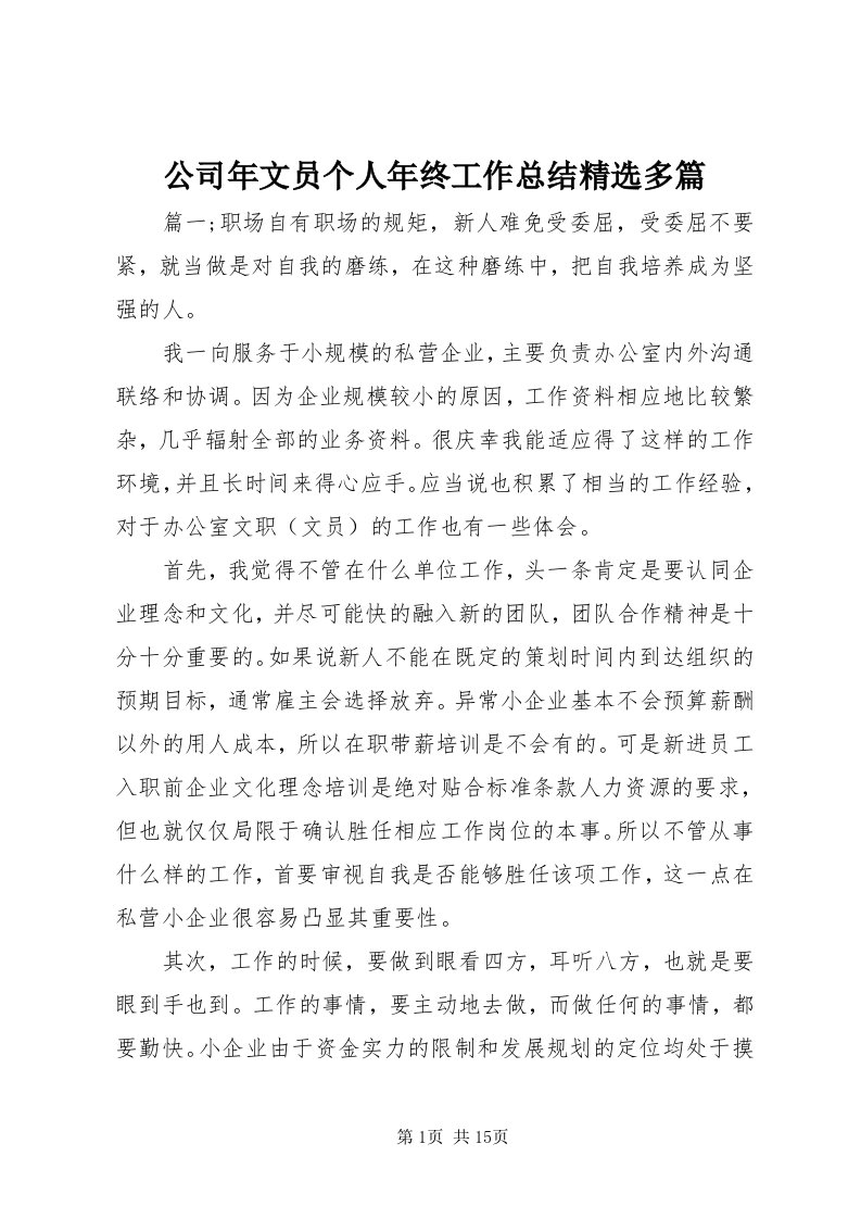 公司年文员个人年终工作总结精选多篇