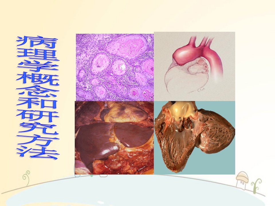 病理学概念和研究方法