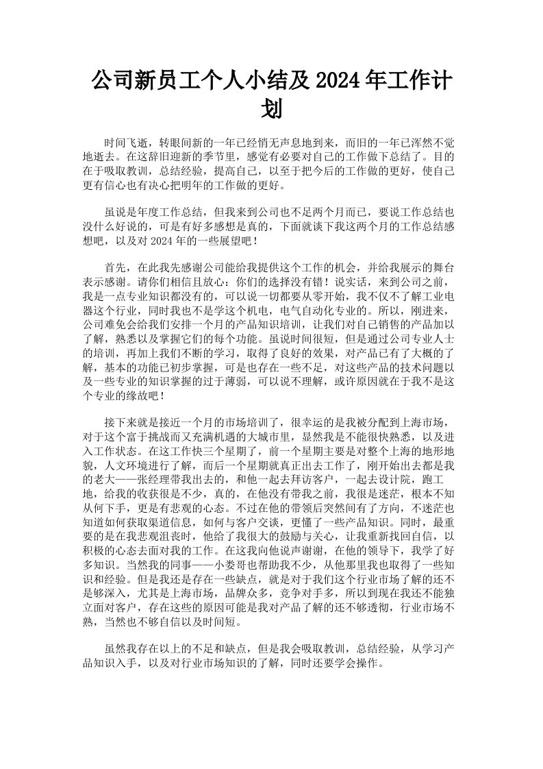 公司新员工个人小结及2024年工作计划