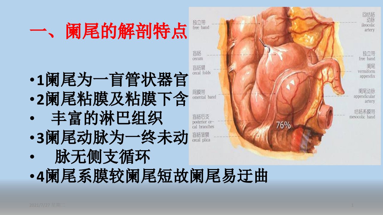 齐鲁医学最新阑尾炎PPT