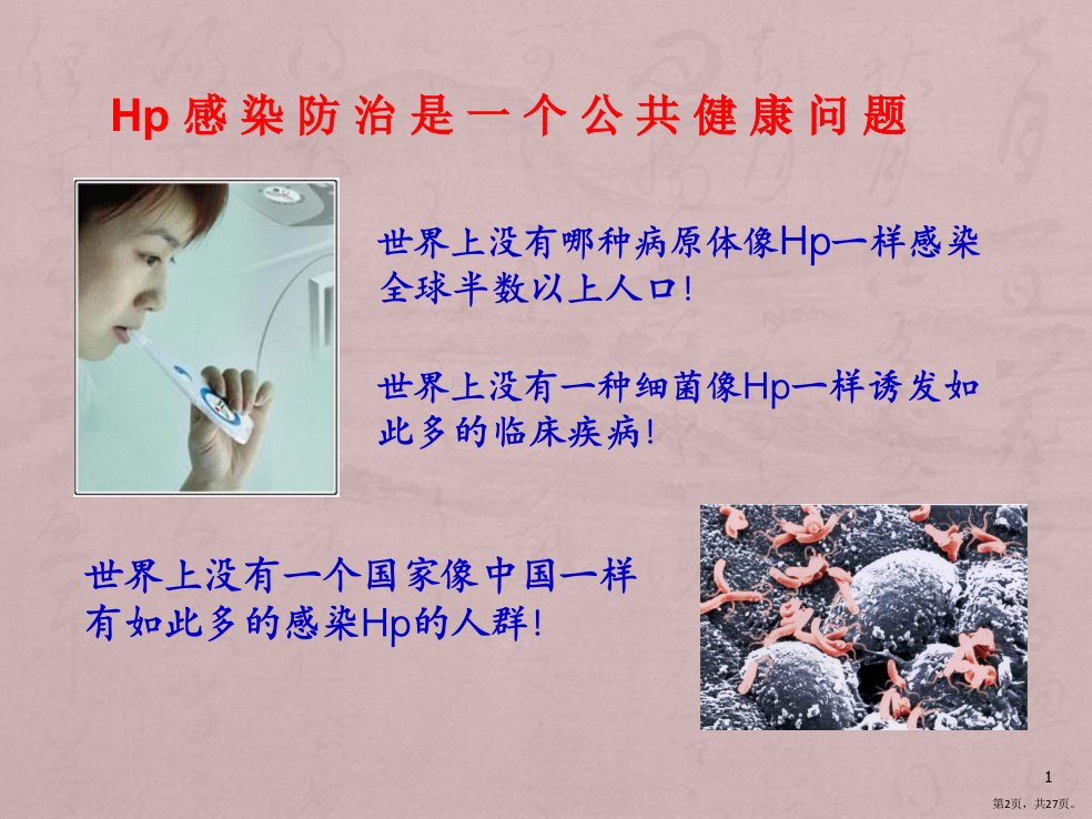 幽门螺杆菌PPT课件同名5PPT27页