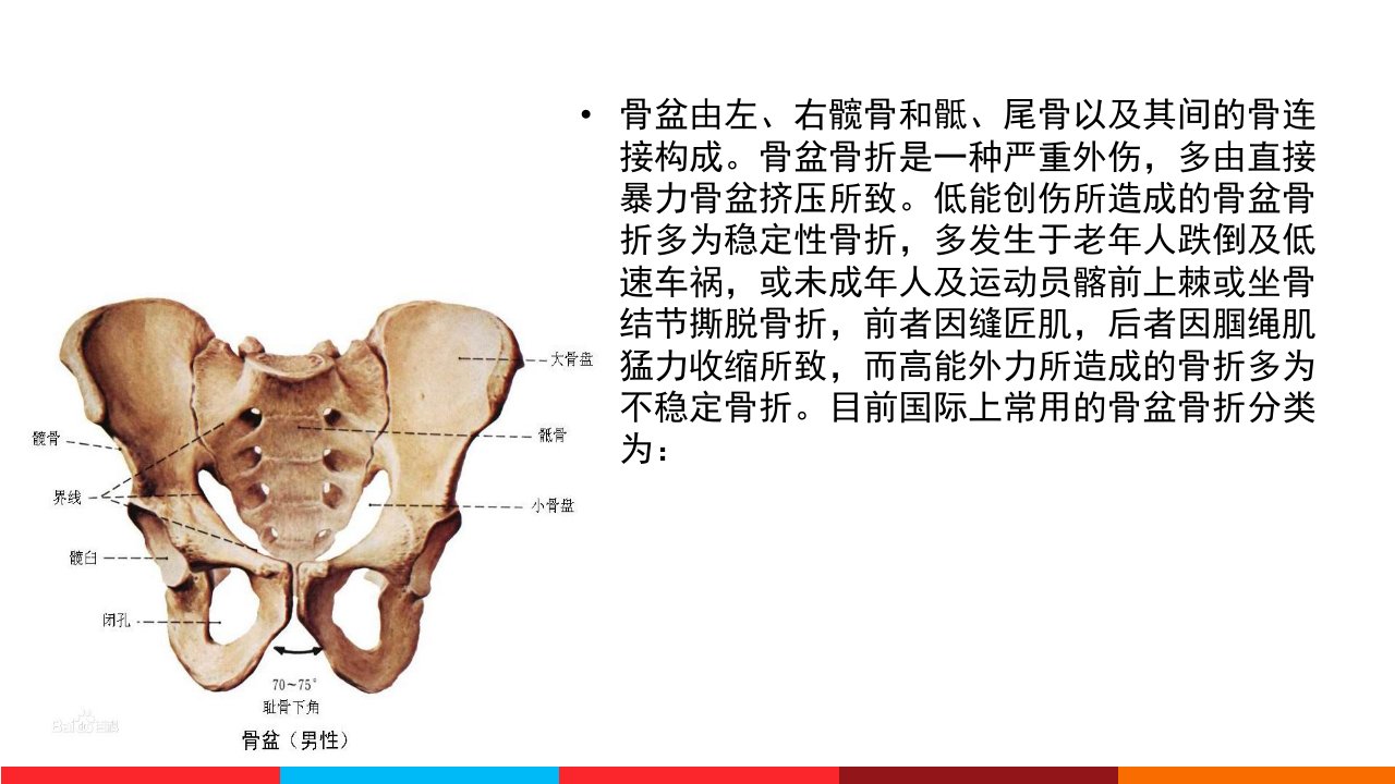 骨盆骨折的分型及护理