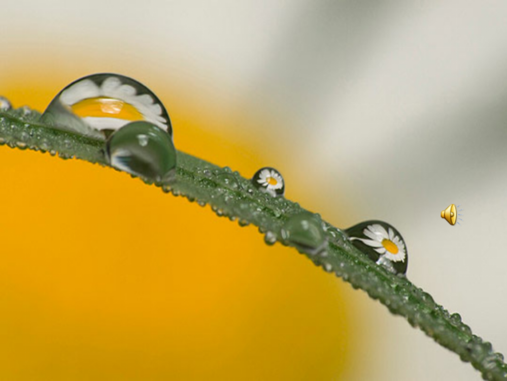 人教版小学语文二年级雷雨1完整ppt课件