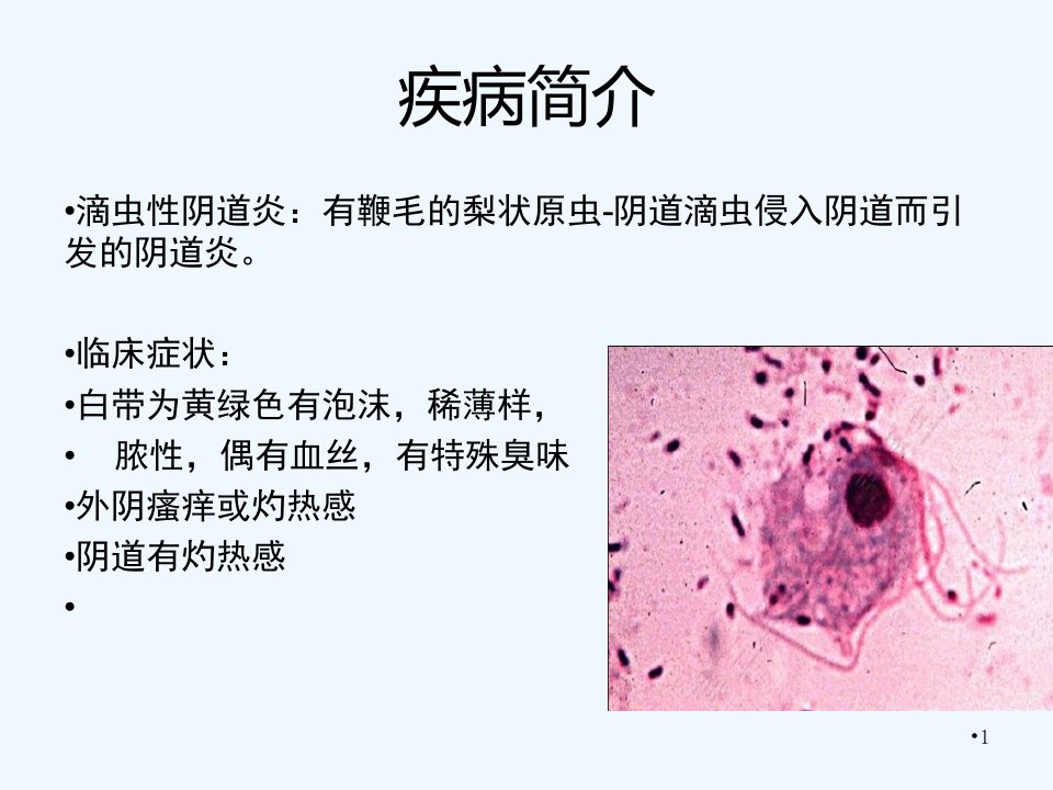 妇科疾病的中医辨证治疗